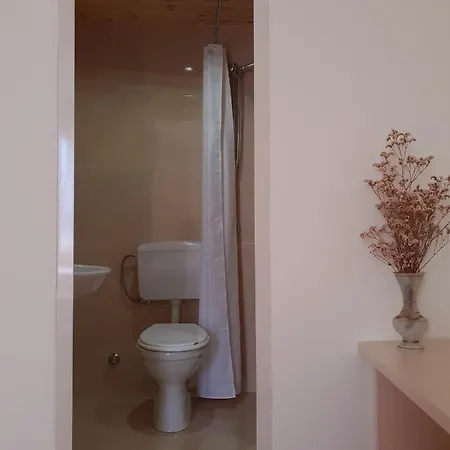 Zadeja 3*
