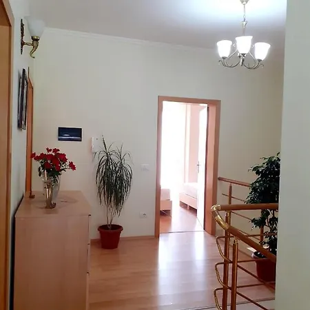 Zadeja 3*