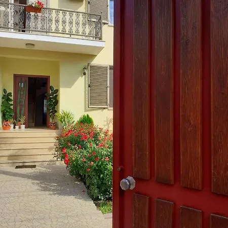 Zadeja Shkodër